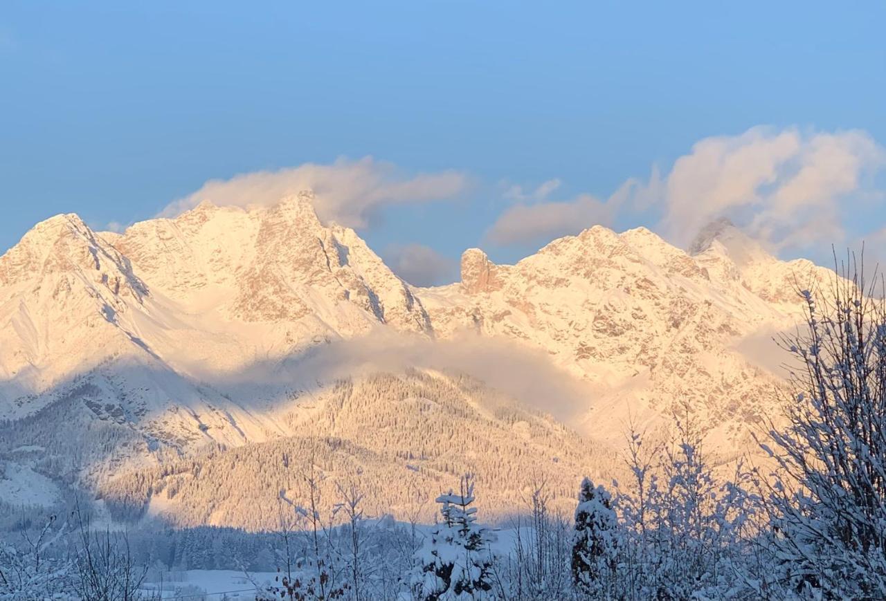 Bergblick Daire Saalfelden Dış mekan fotoğraf