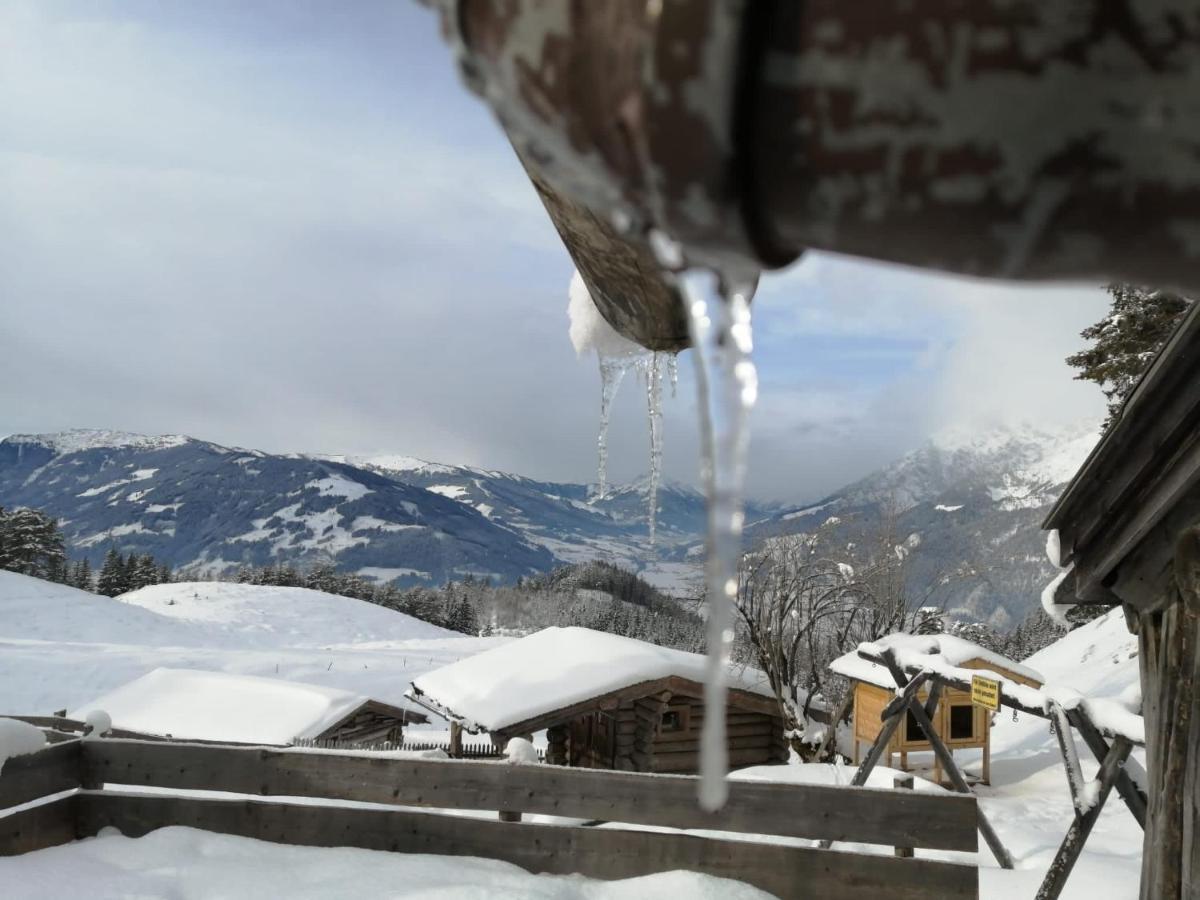 Bergblick Daire Saalfelden Dış mekan fotoğraf