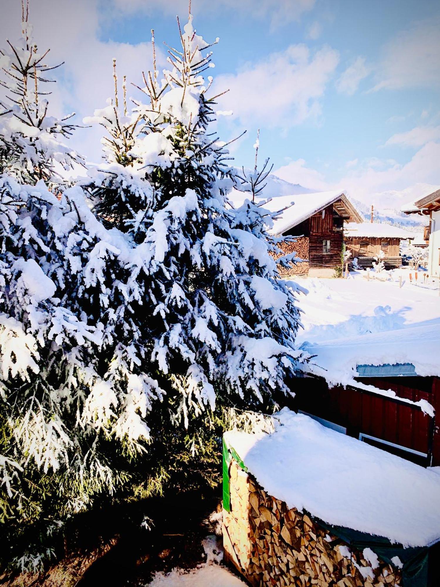 Bergblick Daire Saalfelden Dış mekan fotoğraf