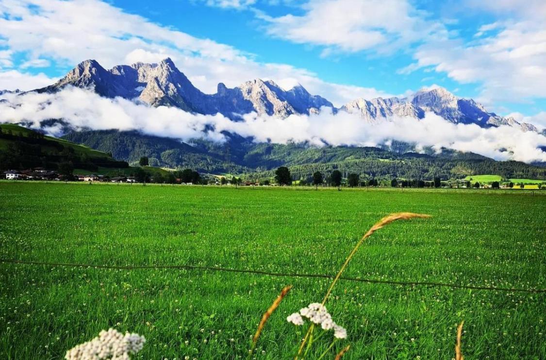 Bergblick Daire Saalfelden Dış mekan fotoğraf